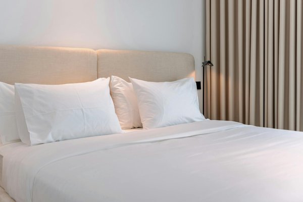 Découvrez le vatican : les immanquables à ne pas manquer