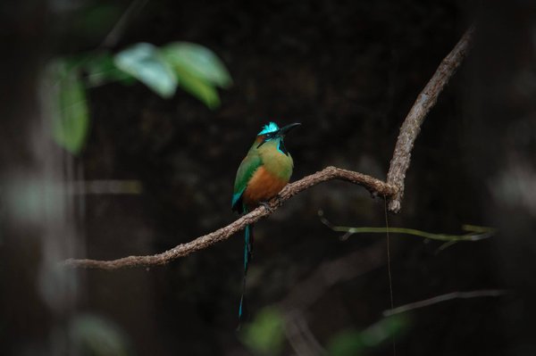 Comment organiser des vacances dans une yourte en Sibérie pour une expérience sibérienne ?