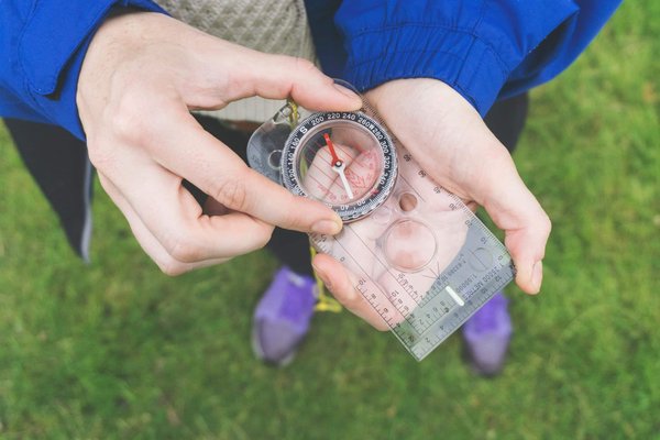 Comment organiser un voyage pour explorer les jungles inexplorées à la recherche d'espèces inconnues ?