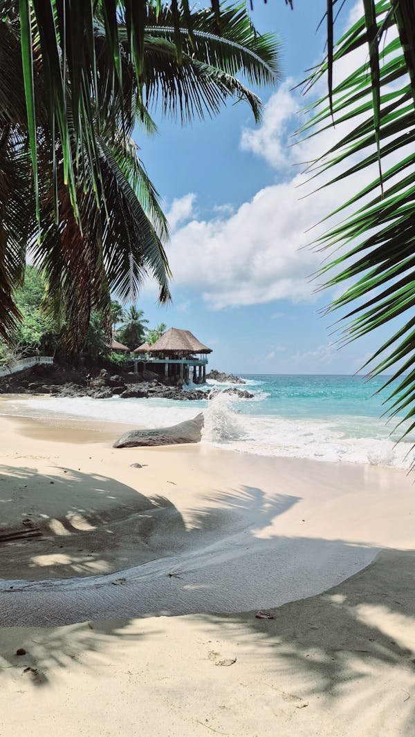 Partir aux Seychelles : votre évasion vers le paradis tropical